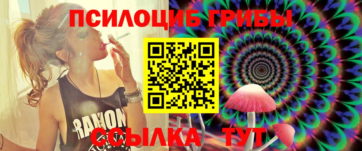Псилоцибиновые грибы GOLDEN TEACHER  Псилоцибиновые грибы прущие грибы  Вход с VPN  Камышин 
