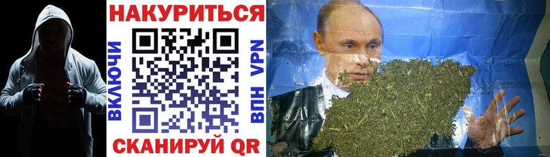 продажа наркотиков  Камышин  Конопля Bruce Banner 
